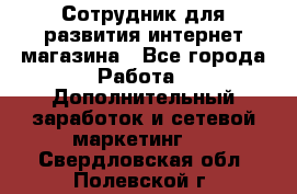 Сотрудник для развития интернет-магазина - Все города Работа » Дополнительный заработок и сетевой маркетинг   . Свердловская обл.,Полевской г.